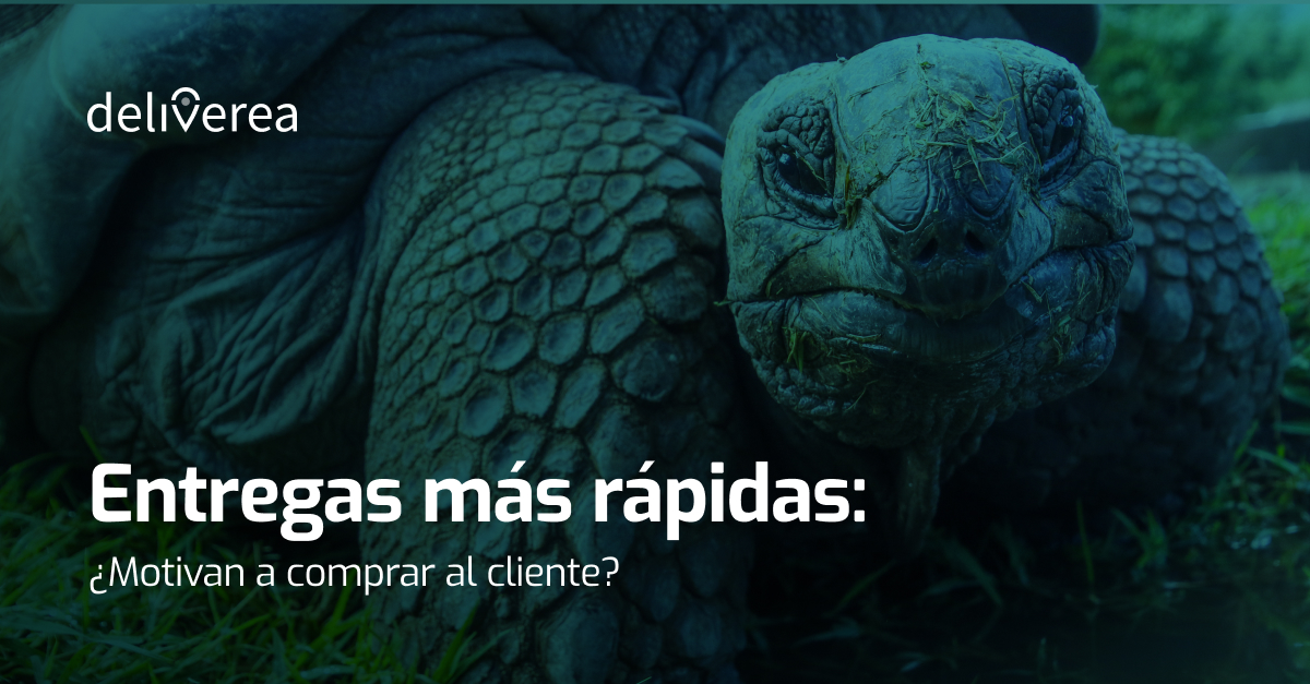 entregas_rapidas