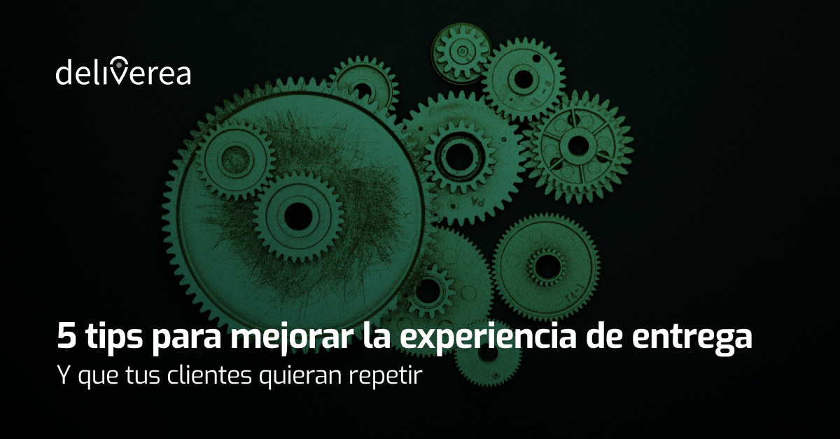 experiencia_entrega